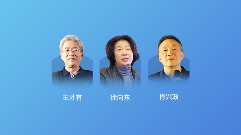 肠胃保养按摩器：揭秘其工作原理与选购要点